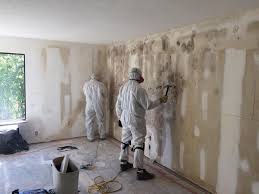 Why You Should Choose Our Mold Remediation Services in Merrionette Park, IL